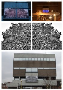 Surrounding ©Peter Weidenbaum